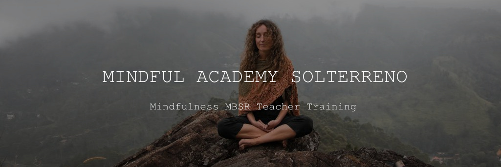 MBSR Teacher Training woman meditating