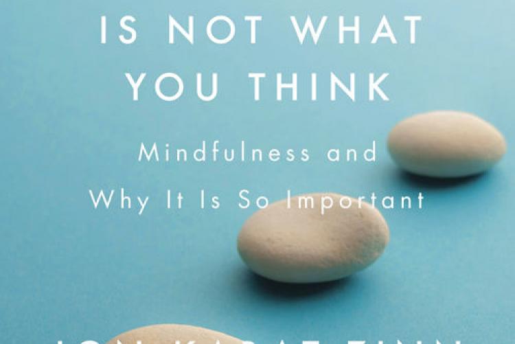 Meditation Is Not What You Think: Mindfulness and Why It Is So Important  By Jon Kabat-Zinn