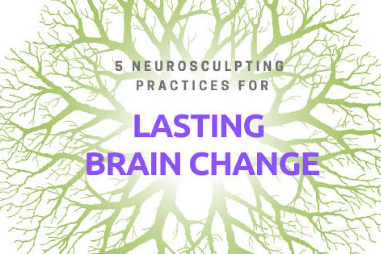 5 Neurosculpting Practices for Lasting Brain Change