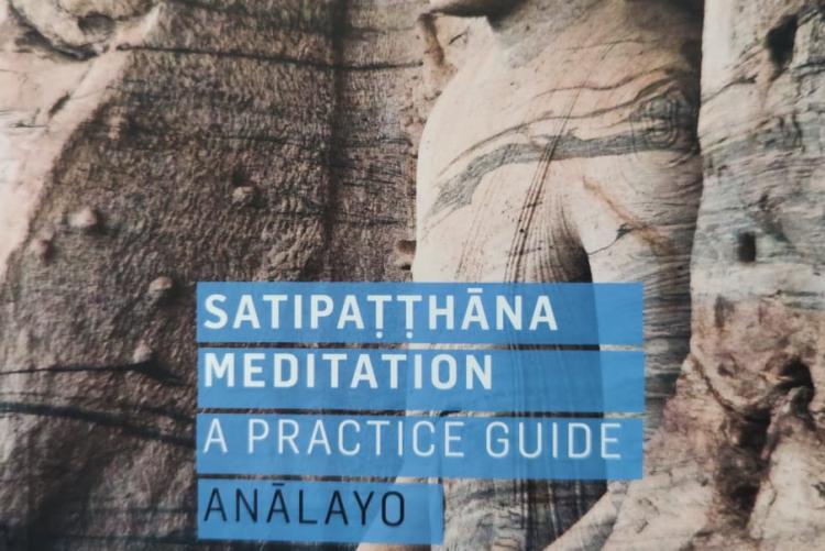 Satipatthana books