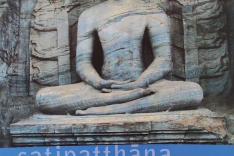 Satipatthana books