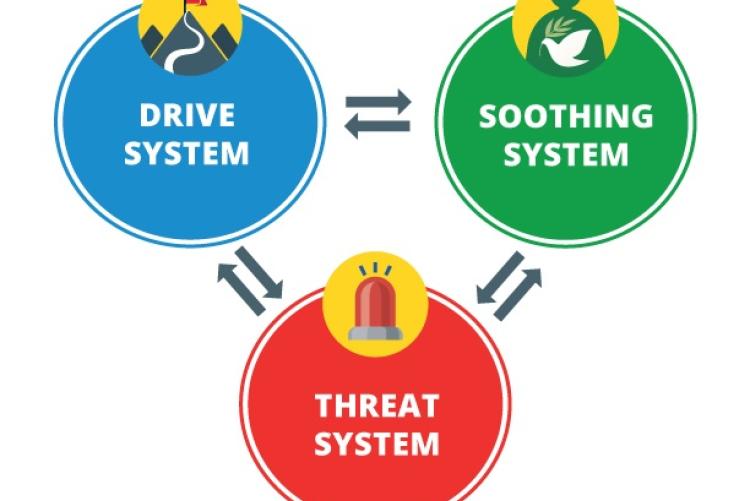 three systems which help us regulate our emotions: the threat system, the drive system, and the soothing system.